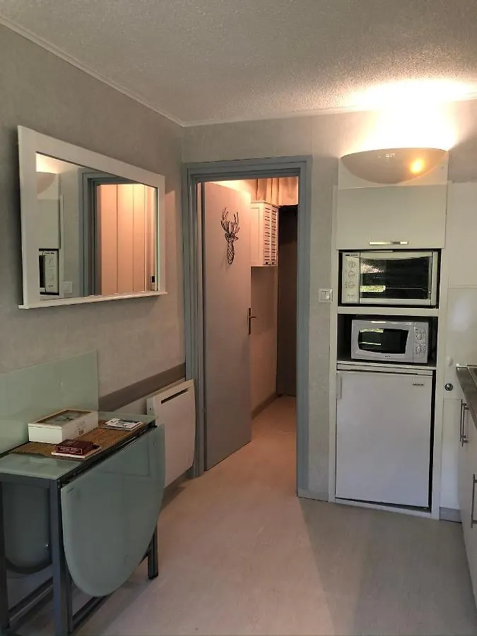 Apartmán Appartements A Chantemerle Saint-Chaffrey Francie
